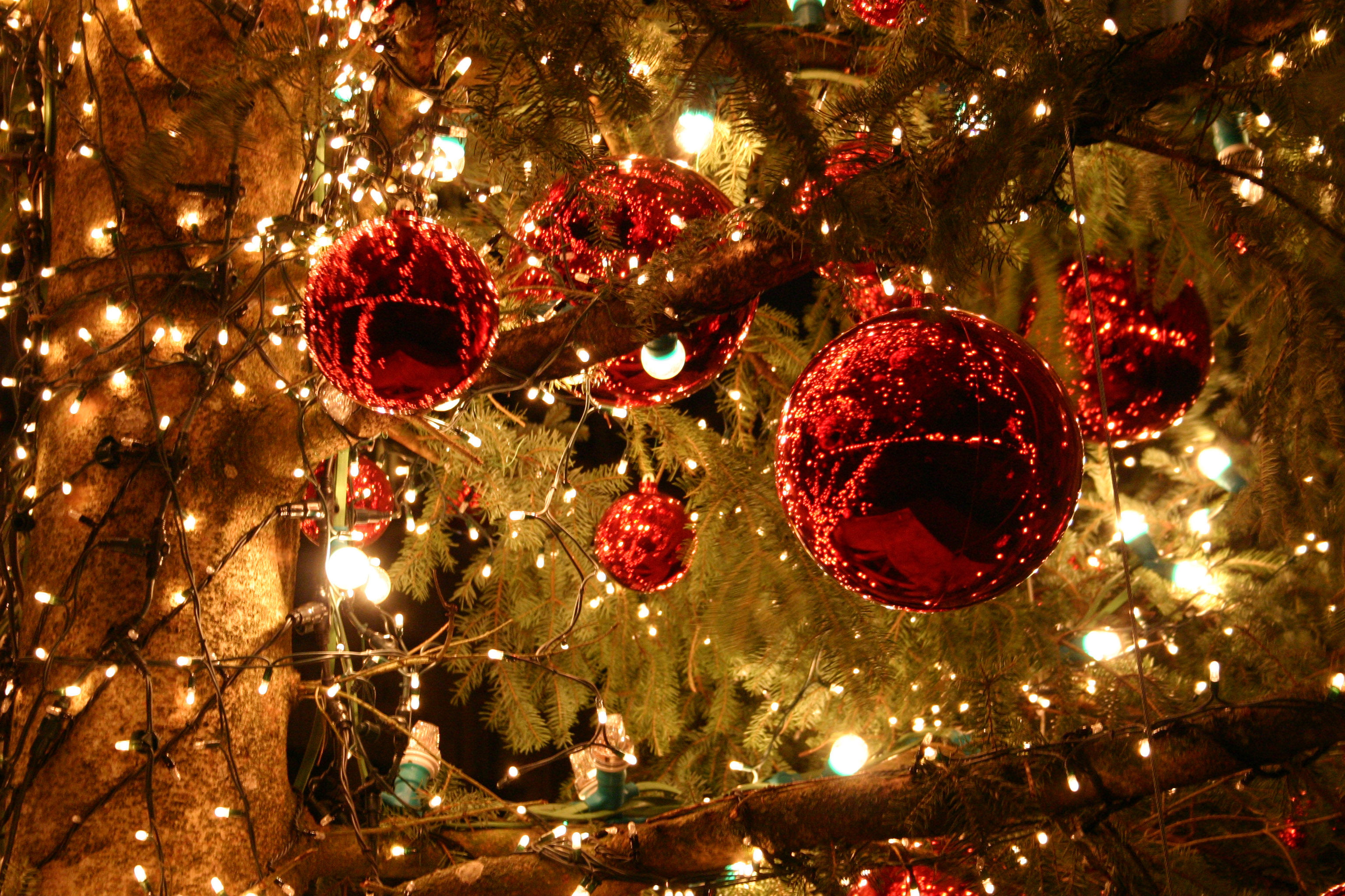 Lire la suite à propos de l’article CONCERT — Concerts de Noël 2015